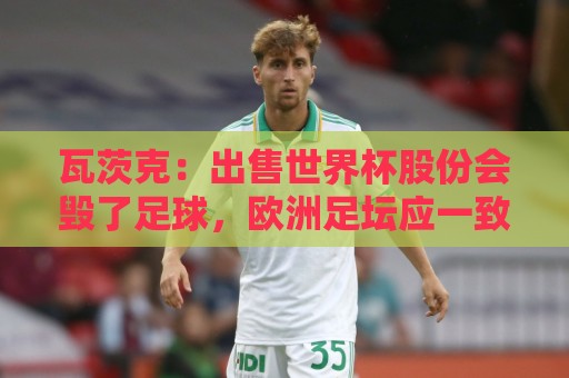 瓦茨克:出售世界杯股份会毁了足球,欧洲足坛应一致抵制 瓦茨克:出售世界杯股份会毁了足球,欧洲足坛应一致抵制