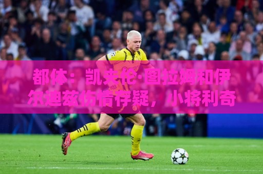 都体：凯夫伦·图拉姆和伊尔迪兹伤情存疑，小将利奇纳崭露头角
