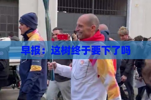 早报:这树终于要下了吗 早报:这树终于要下了吗