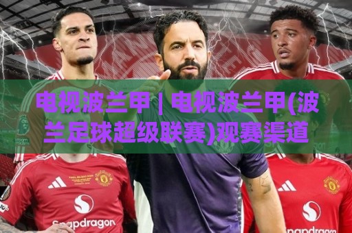 电视波兰甲 | 电视波兰甲(波兰足球超级联赛)观赛渠道与联赛看点全知道⚽网上热门博球网攻略排名回放无广告全场录像公司 电视波兰甲 | 电视波兰甲(波兰足球超级联赛)观赛渠道与联赛看点全知道⚽网上热门博球网攻略排名回放无广告全场录像公司